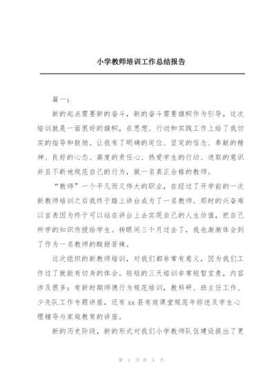 小学教师培训工作总结报告.docx