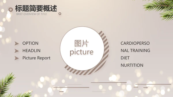 圣诞节快乐圣诞节组织活动策划PPT