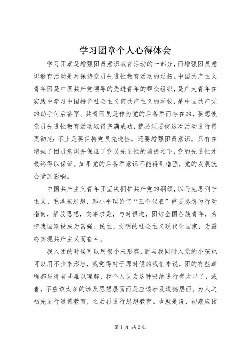 学习团章个人心得体会.docx