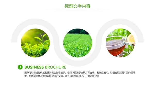 唯美绿色茶园茶文化品茶论道PPT模板