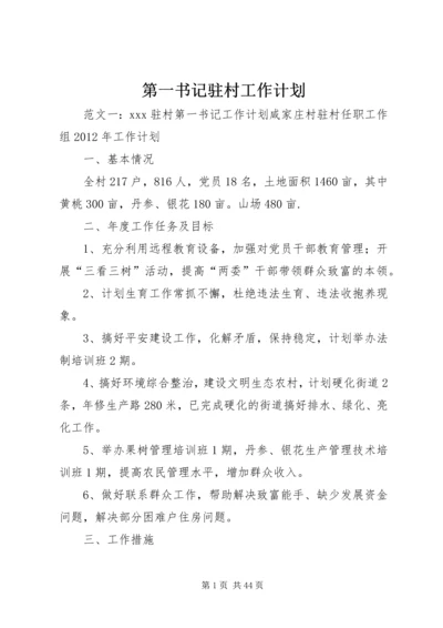 第一书记驻村工作计划 (6).docx