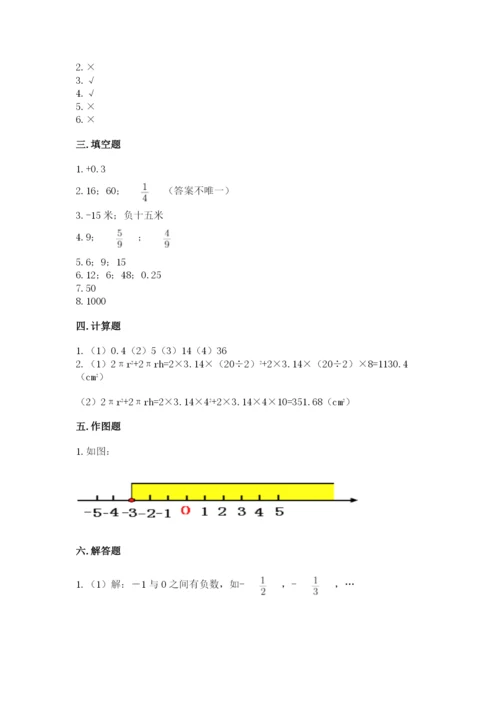 北师大版六年级下册数学期末测试卷【典优】.docx