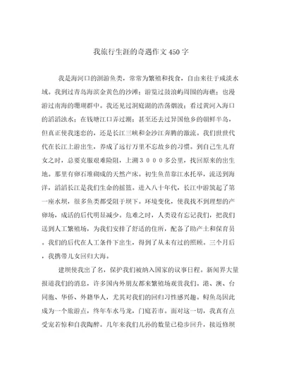 我旅行生涯的奇遇作文450字