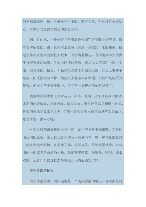 昆明湿地公园.docx