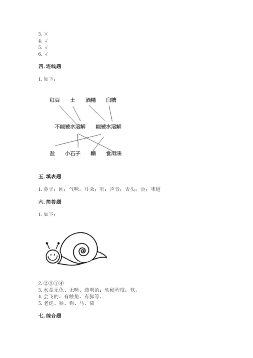 教科版小学科学一年级下册期末测试卷【夺冠系列】.docx