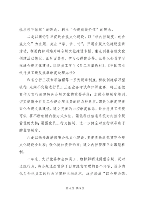 省公司党风廉政建设及内控合规检查组汇报材料 (4).docx