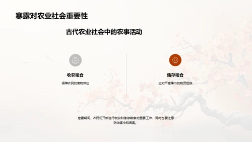 寒露节气与历史人物