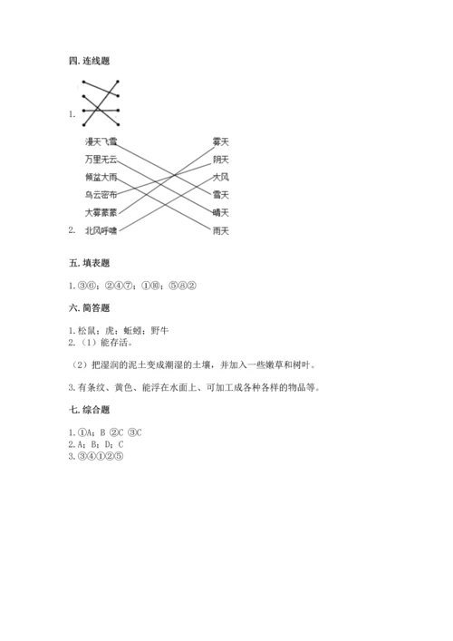 教科版二年级上册科学期末测试卷精华版.docx