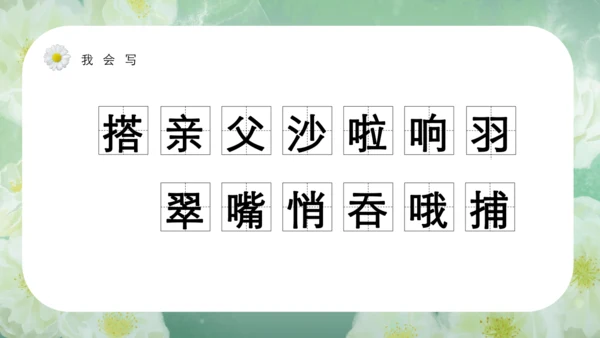 第15课《搭船的鸟》课件