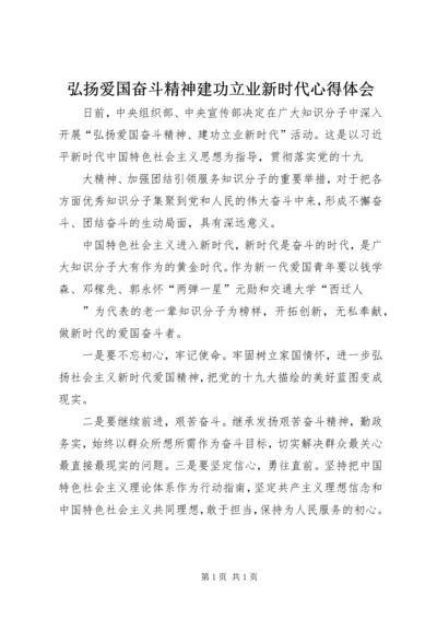 弘扬爱国奋斗精神建功立业新时代心得体会.docx