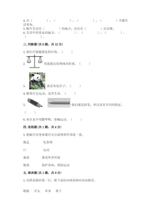 教科版一年级下册科学期末测试卷及参考答案（综合题）.docx