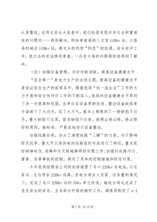 电力局安全保卫工作总结及计划 (3).docx