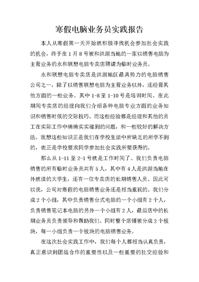 寒假电脑业务员实践报告