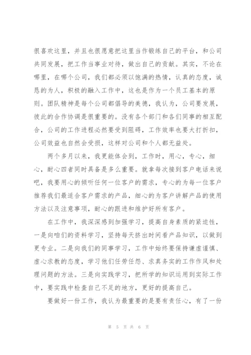 销售员试用期转正工作总结范本.docx