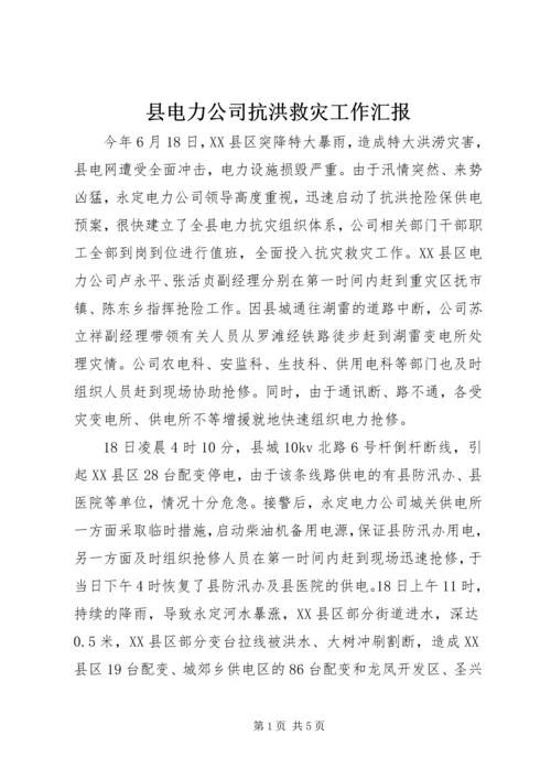 县电力公司抗洪救灾工作汇报.docx