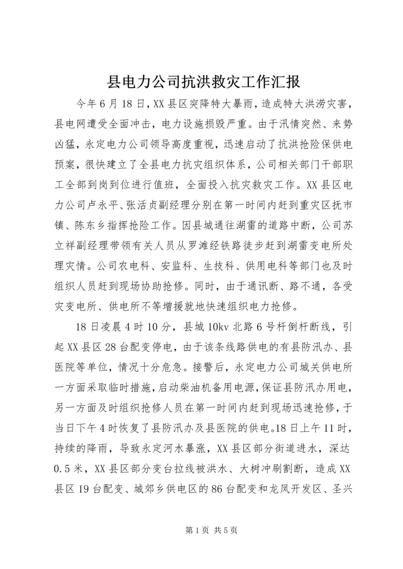 县电力公司抗洪救灾工作汇报.docx