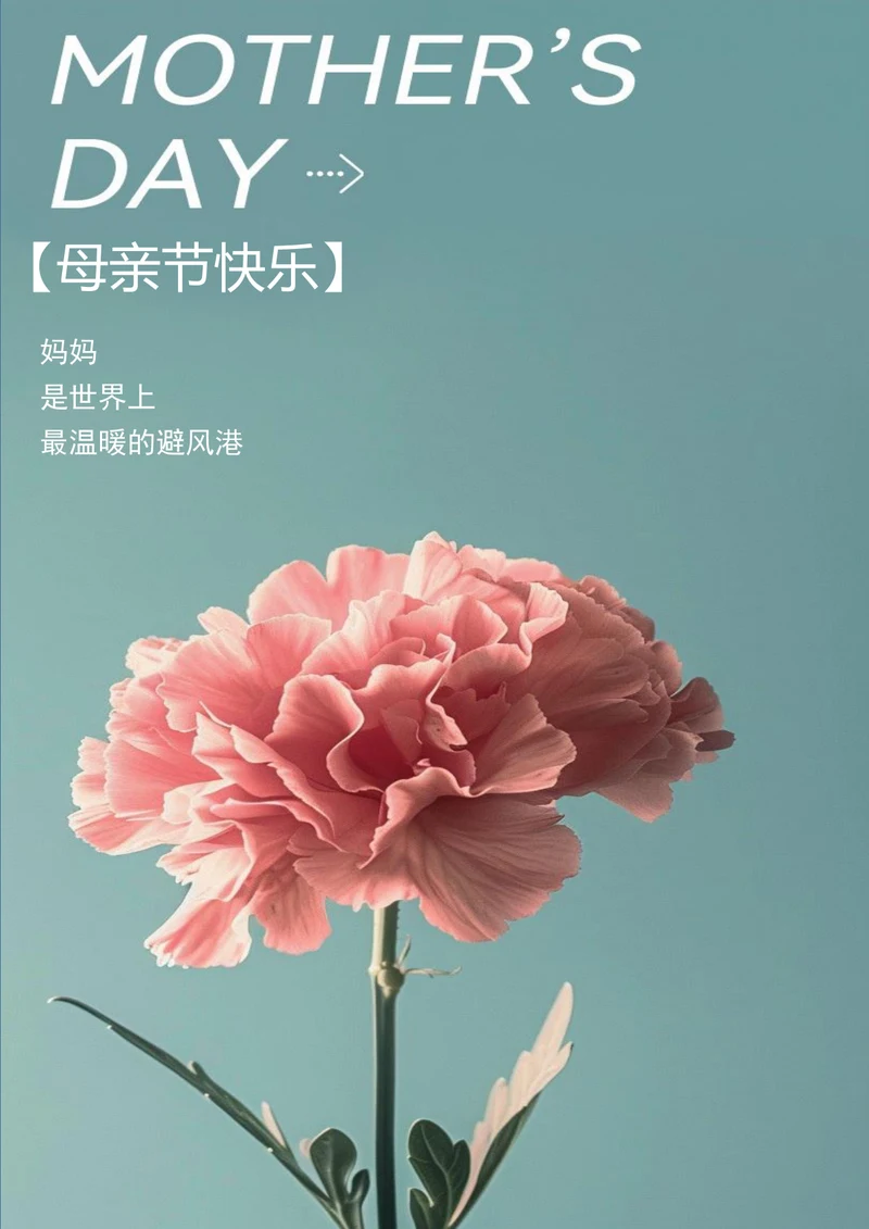 母亲节温馨节日海报