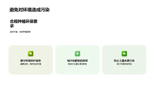 绿色烟草：实现可持续种植