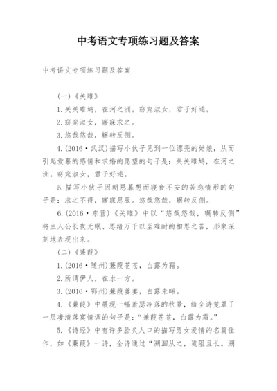 中考语文专项练习题及答案.docx