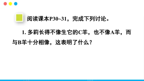 人教版（新课程标准）（2024）1.2.4细胞的生活(共41张PPT)