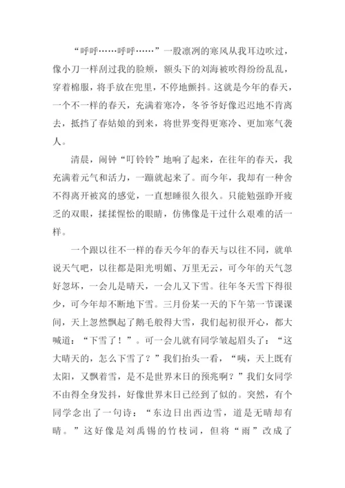 不一样的春天初中作文.docx