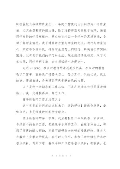 青年新教师工作总结范文.docx