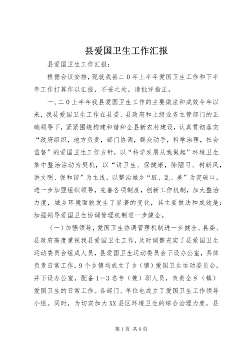 县爱国卫生工作汇报 (3).docx