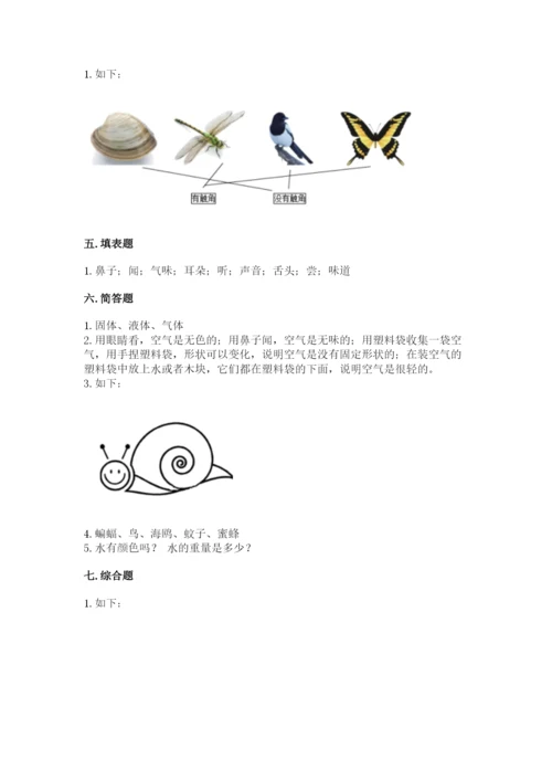 教科版一年级下册科学期末测试卷及参考答案【考试直接用】.docx