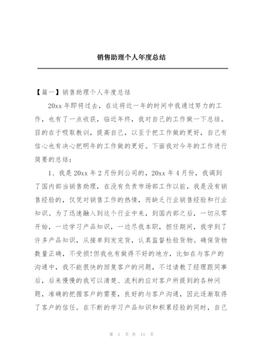 销售助理个人年度总结.docx