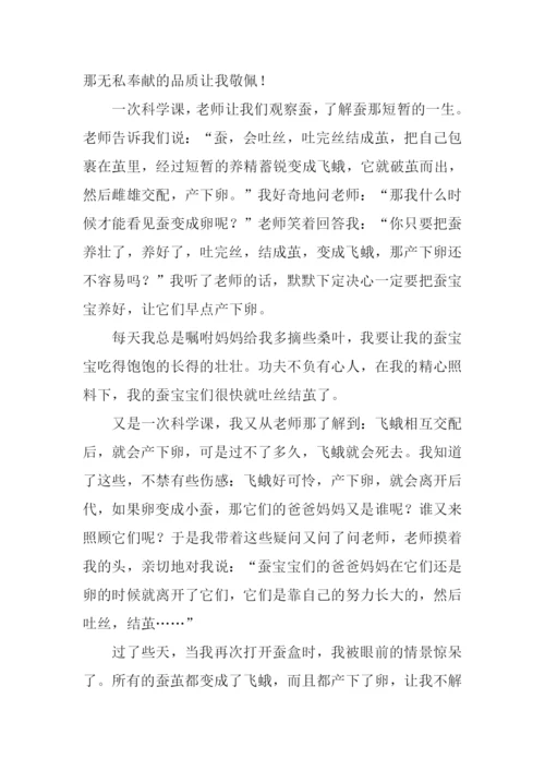 借物喻人春蚕作文.docx