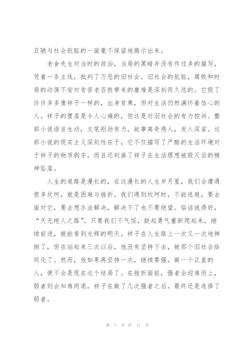 骆驼祥子小说阅读书心得600字作文5篇.docx