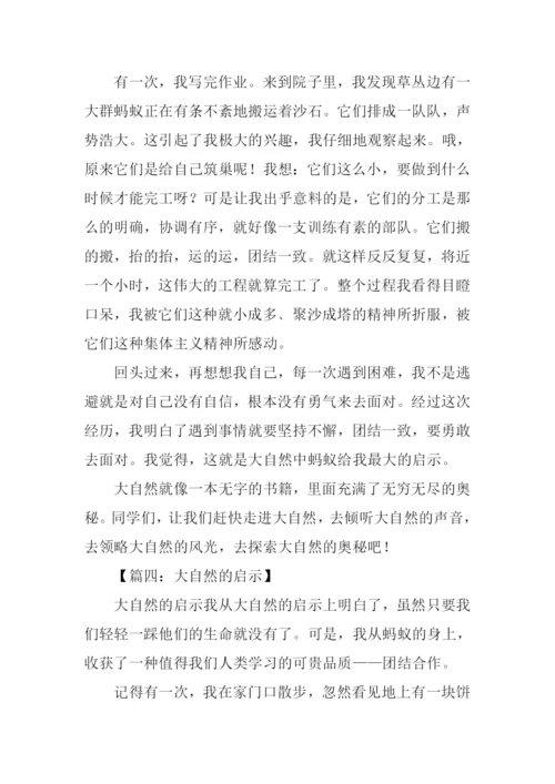 大自然的启示作文450字四年级.docx