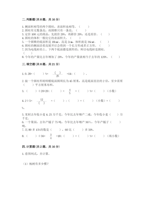 北京版六年级下册数学期中测试卷完美版.docx