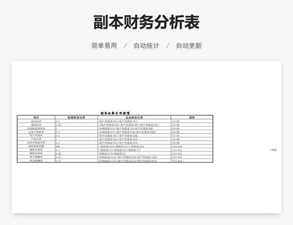 副本财务分析表