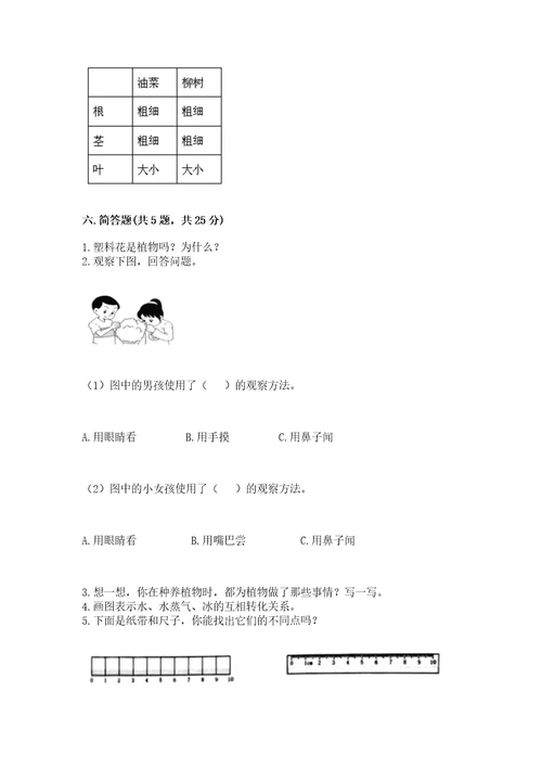 教科版科学一年级上册期末测试卷a4版打印