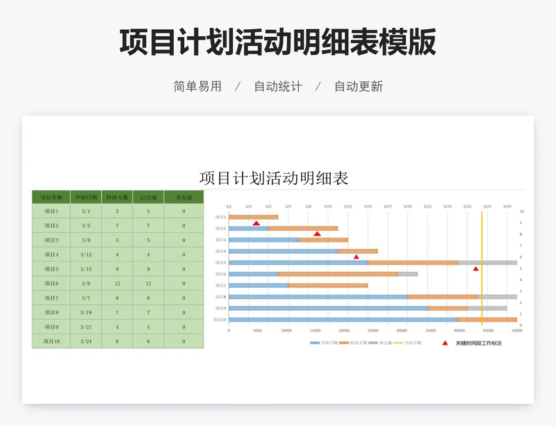 项目计划活动明细表模版