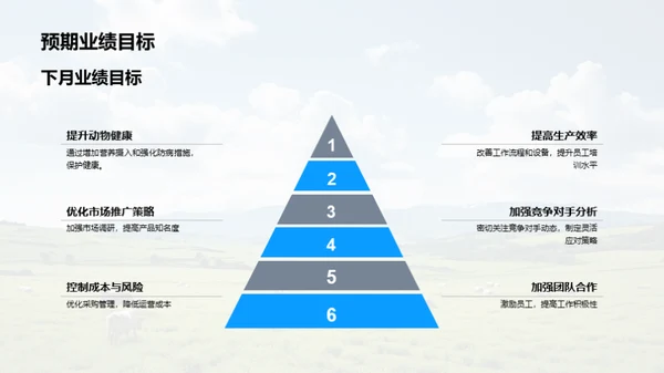 牧场运营及业绩分析