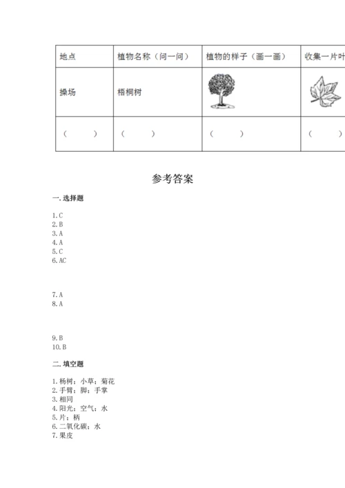 教科版一年级上册科学期末测试卷附答案【实用】.docx