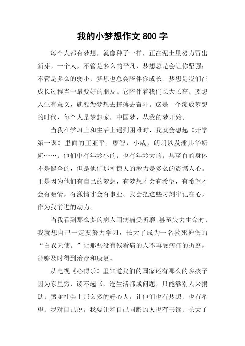我的小梦想作文800字.docx