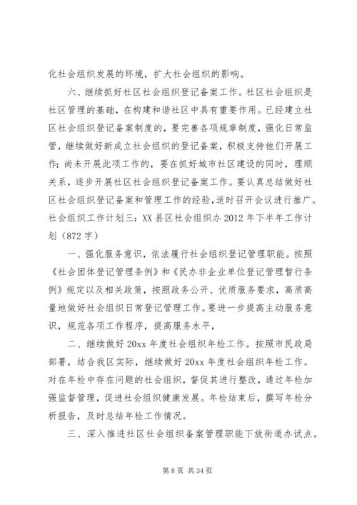 社会组织工作计划3篇.docx