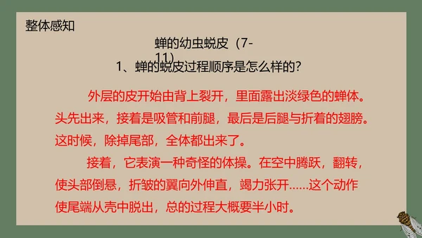 八年级下册蝉课件PPT模板