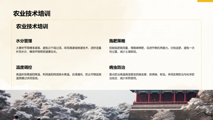 二十四节气大暑PPT模板