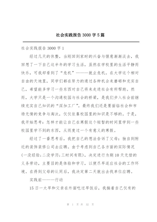 社会实践报告3000字5篇.docx