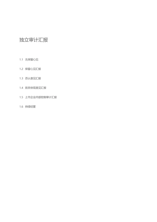 公司年度报告模板.docx