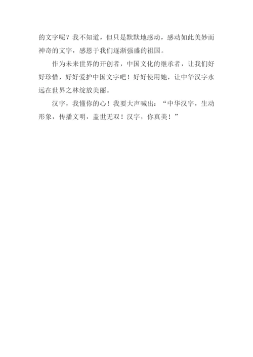 汉字我懂你的心作文.docx