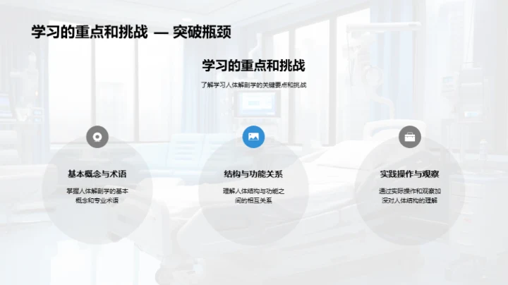 人体解剖学探索