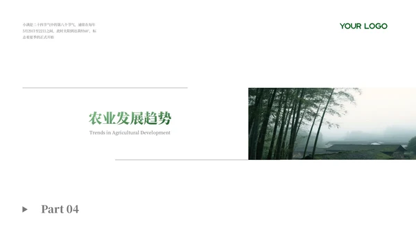 绿色小满节气农业文化PPT模板
