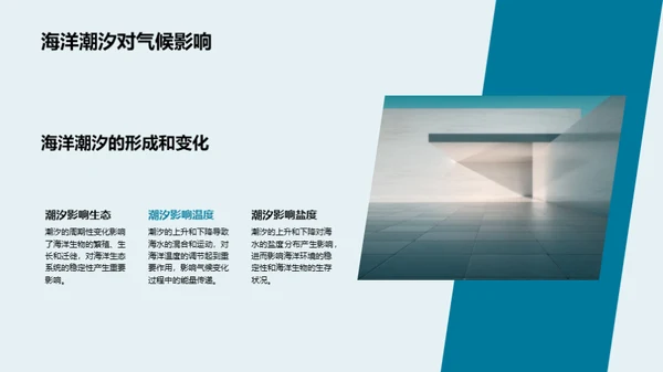 海洋守护者的使命