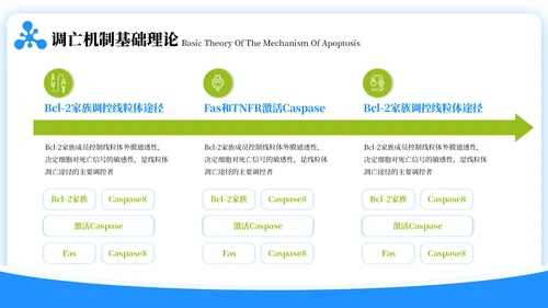 蓝绿色简约风生物学毕业答辩ppt模板