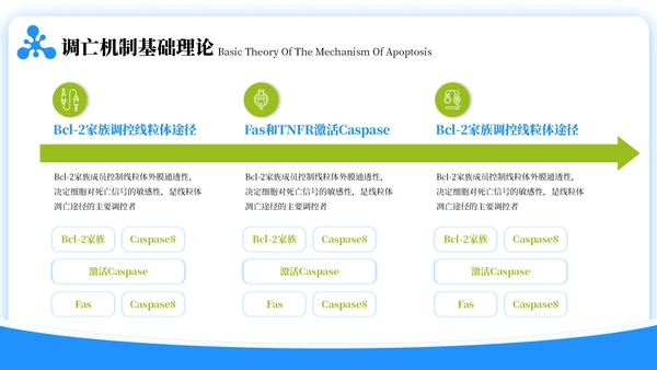 蓝绿色简约风生物学毕业答辩ppt模板